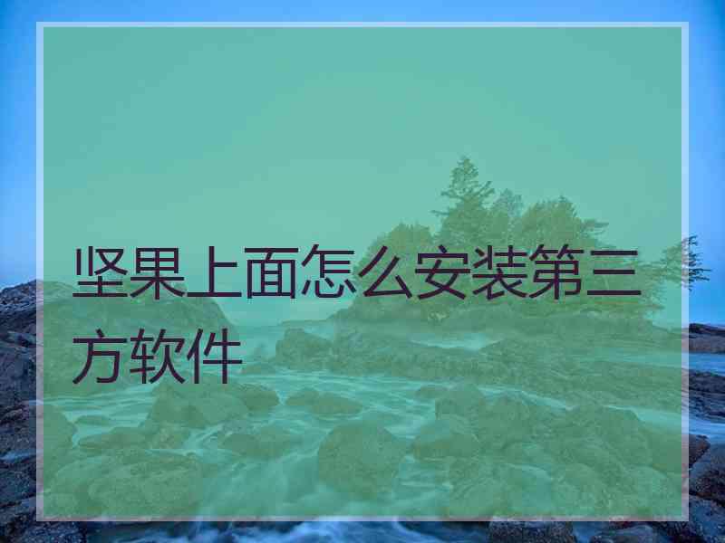 坚果上面怎么安装第三方软件