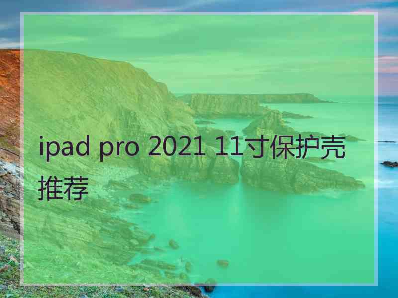 ipad pro 2021 11寸保护壳推荐