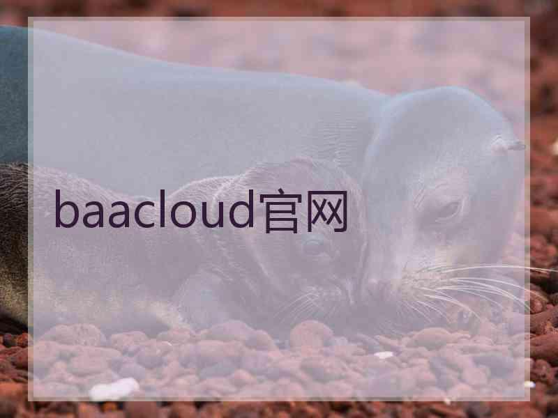 baacloud官网