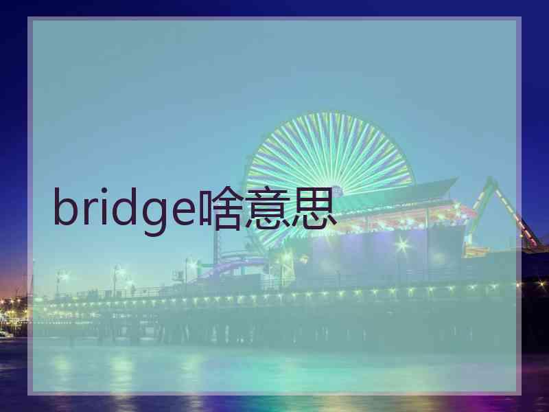 bridge啥意思