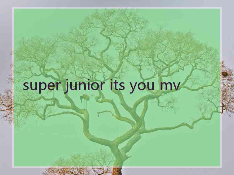 super junior its you mv