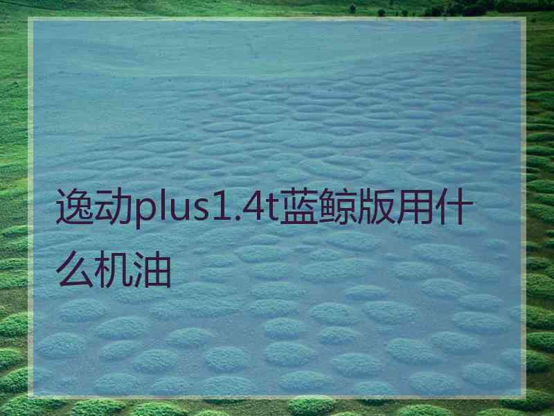 逸动plus1.4t蓝鲸版用什么机油