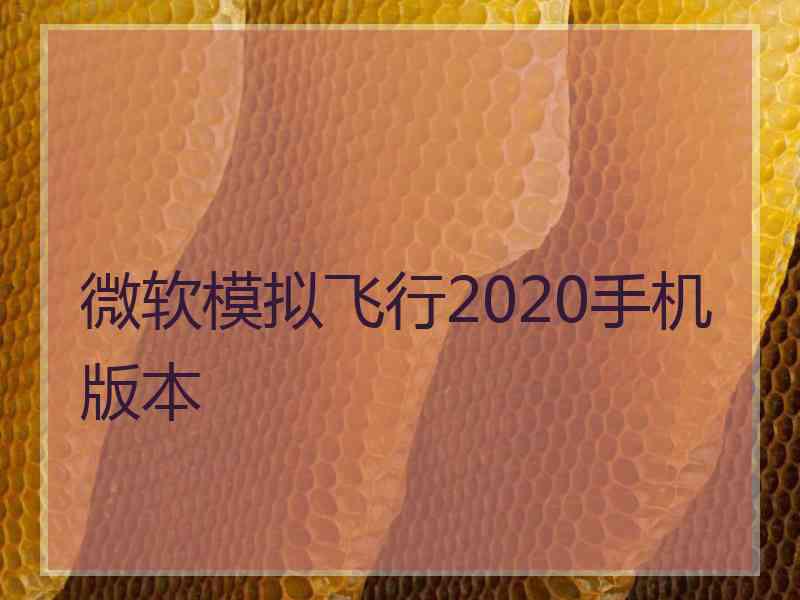 微软模拟飞行2020手机版本