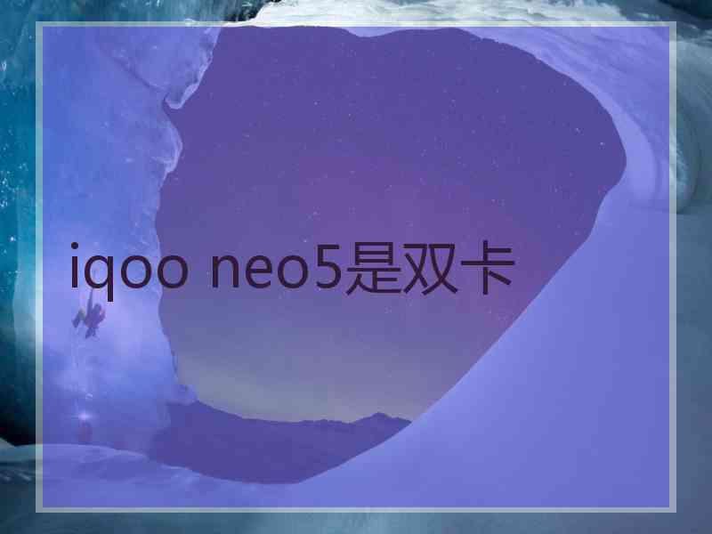 iqoo neo5是双卡