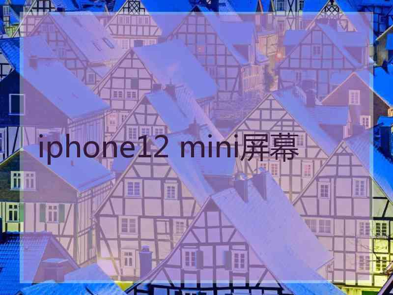 iphone12 mini屏幕