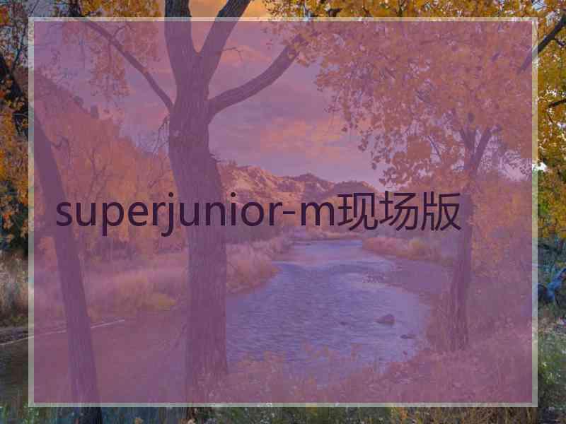 superjunior-m现场版