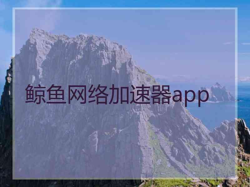 鲸鱼网络加速器app