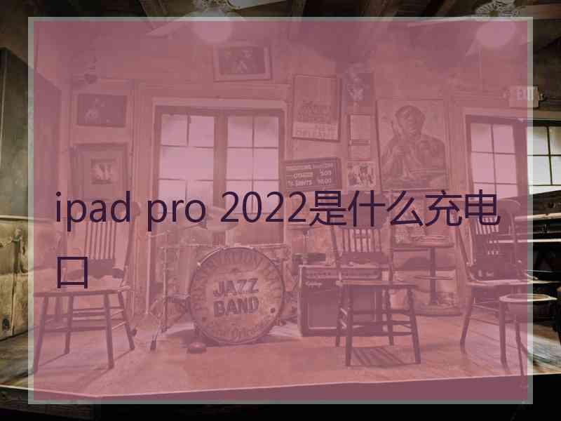 ipad pro 2022是什么充电口