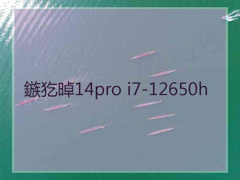 鏃犵晫14pro i7-12650h