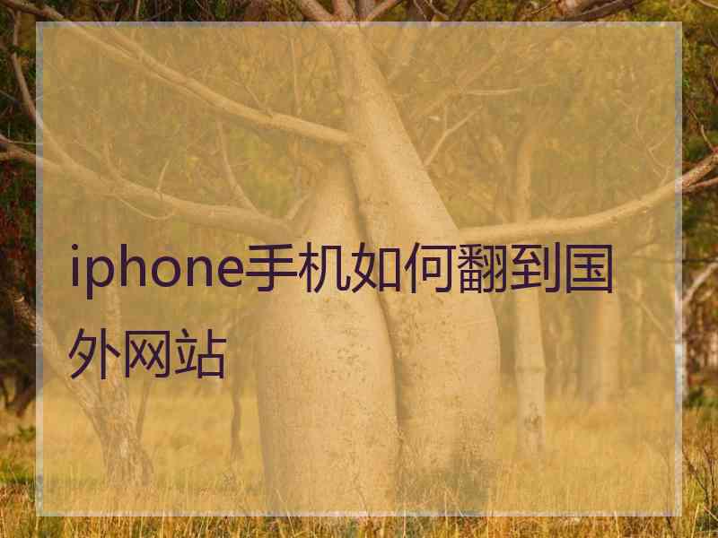 iphone手机如何翻到国外网站