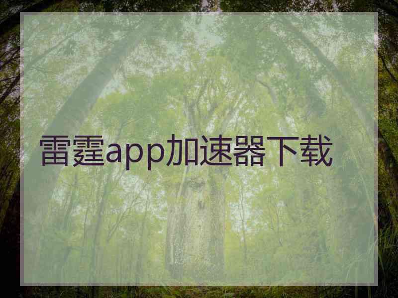 雷霆app加速器下载