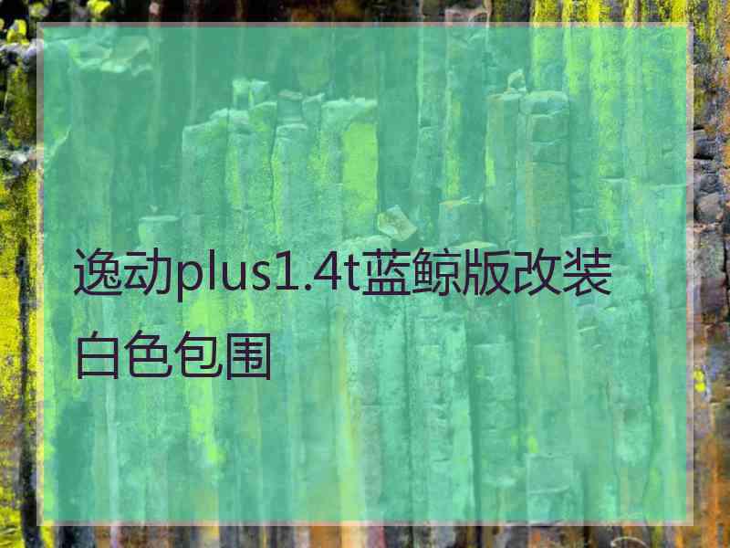 逸动plus1.4t蓝鲸版改装白色包围