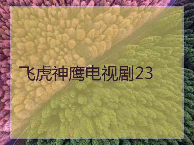 飞虎神鹰电视剧23