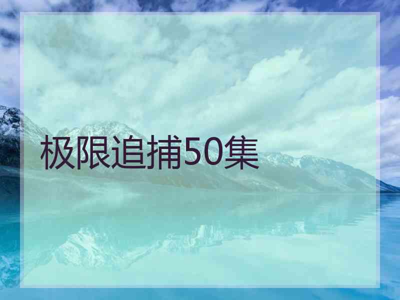 极限追捕50集