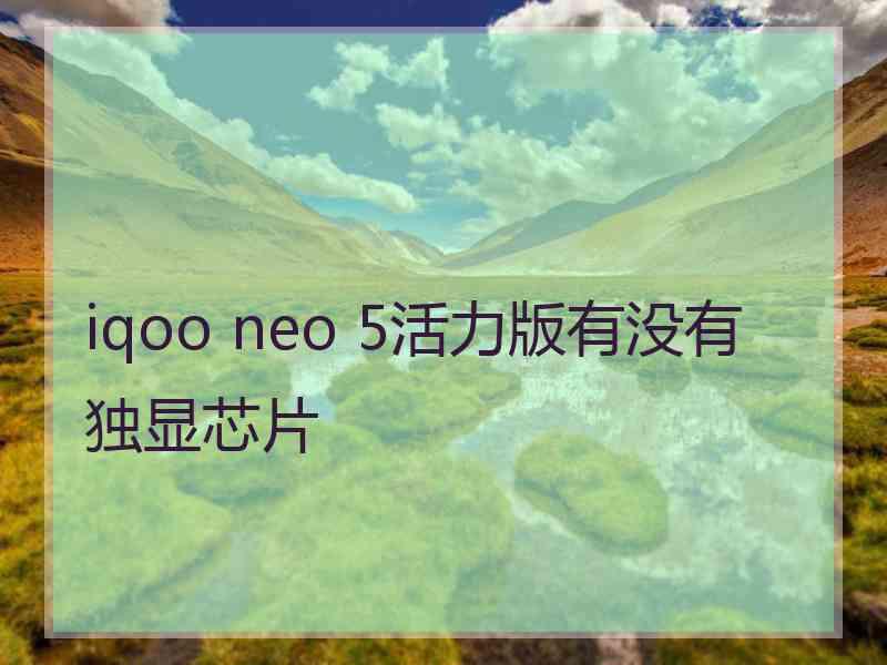 iqoo neo 5活力版有没有独显芯片