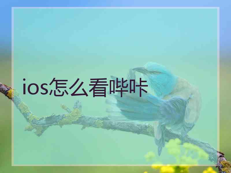 ios怎么看哔咔