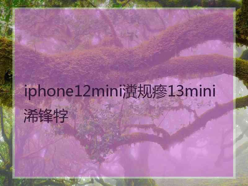 iphone12mini瀵规瘮13mini浠锋牸