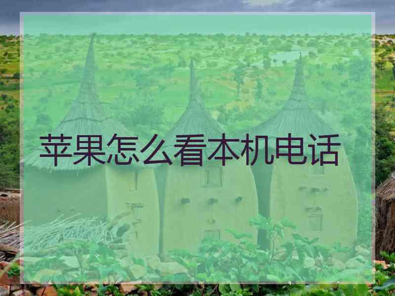 苹果怎么看本机电话