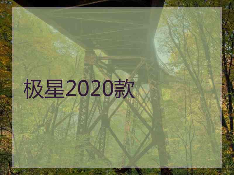 极星2020款