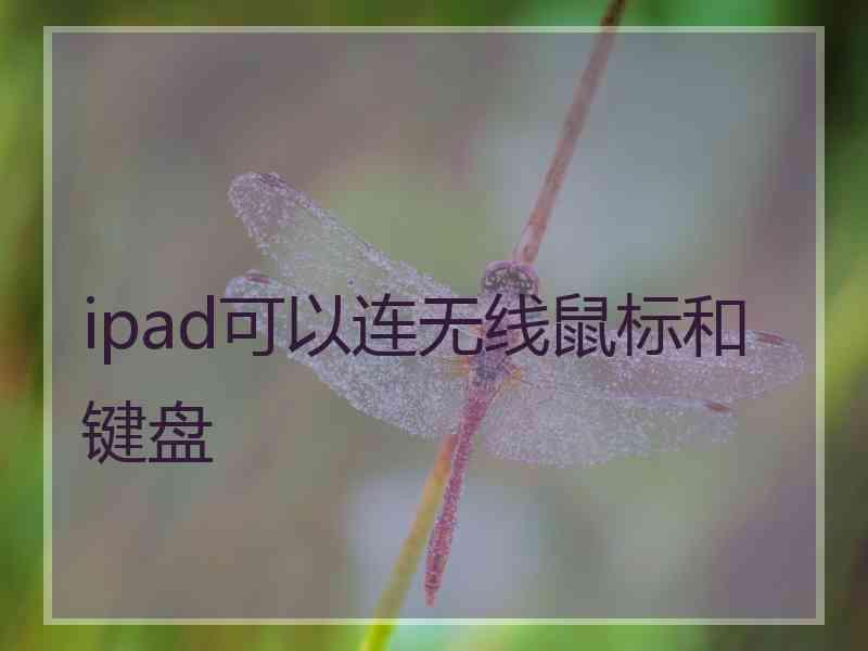 ipad可以连无线鼠标和键盘