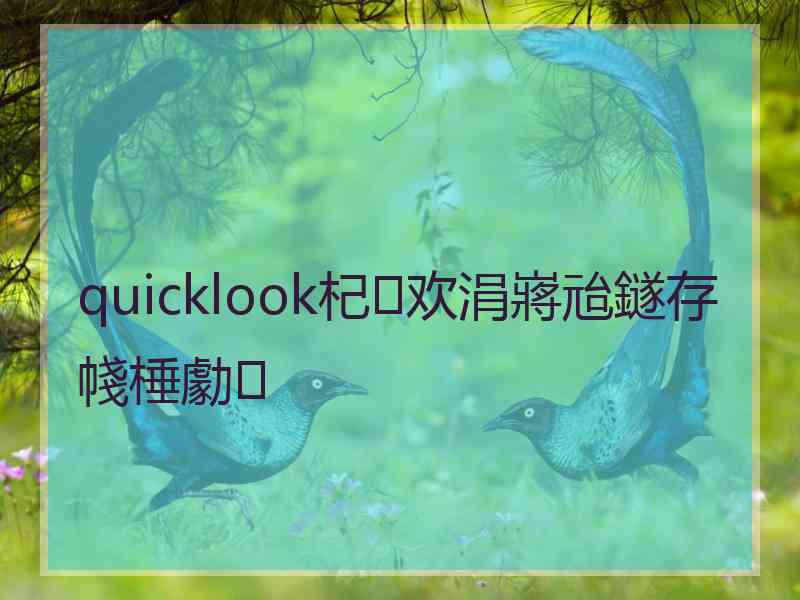 quicklook杞欢涓嶈兘鐩存帴棰勮