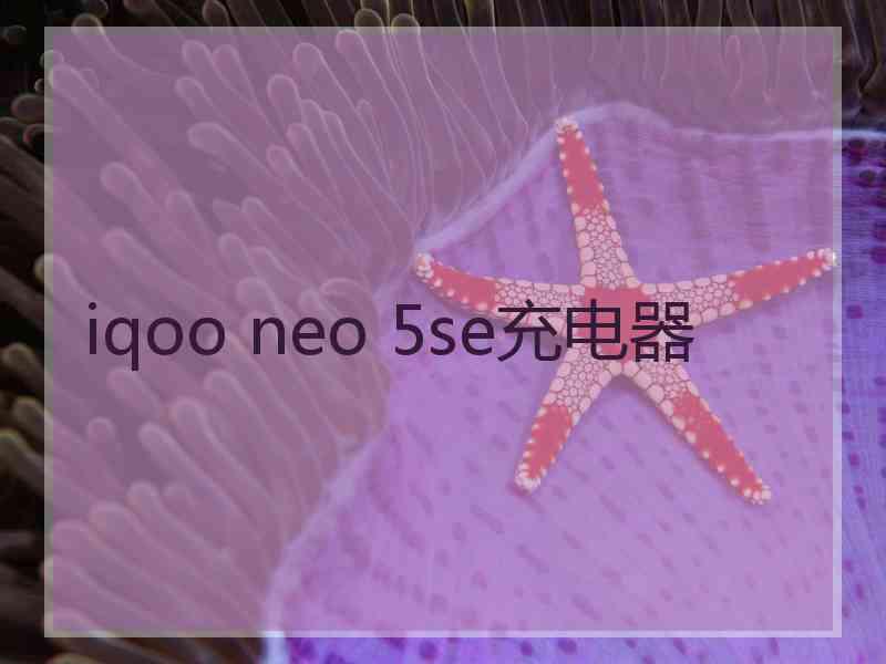 iqoo neo 5se充电器