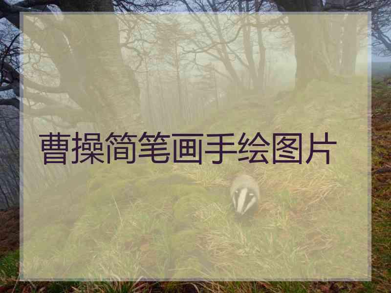 曹操简笔画手绘图片