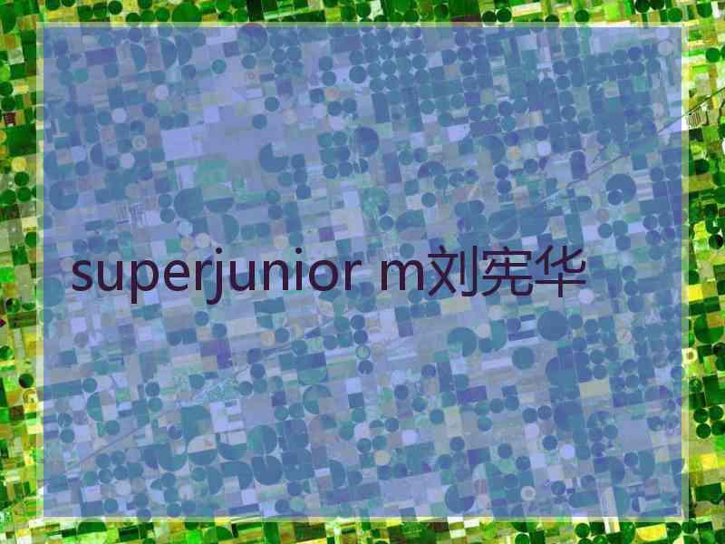superjunior m刘宪华