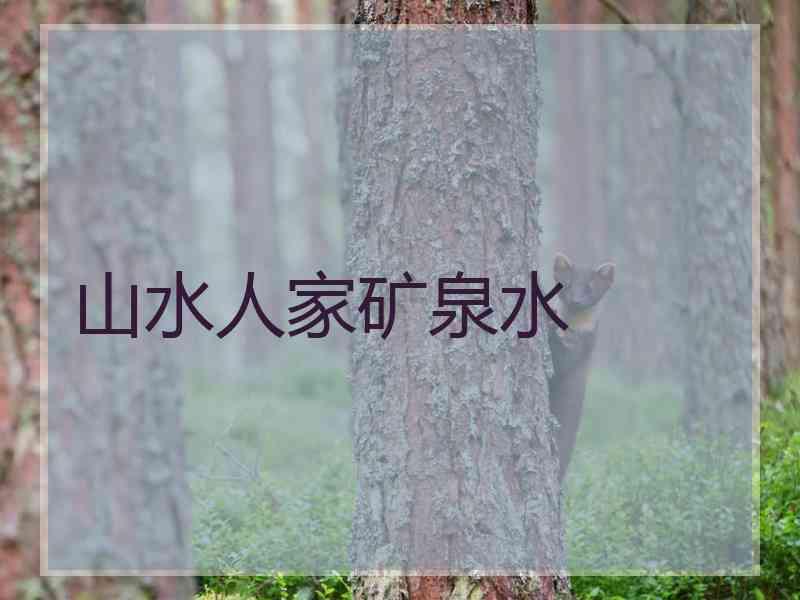 山水人家矿泉水