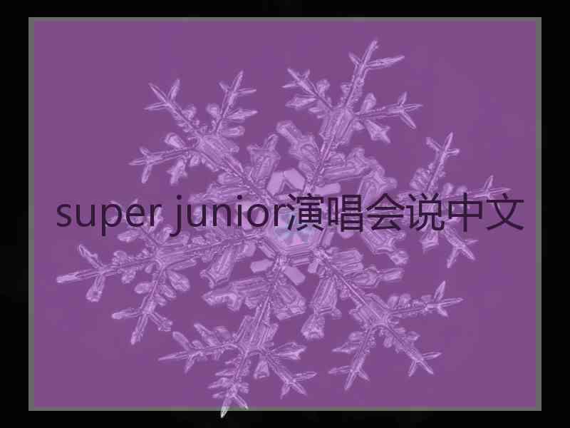 super junior演唱会说中文