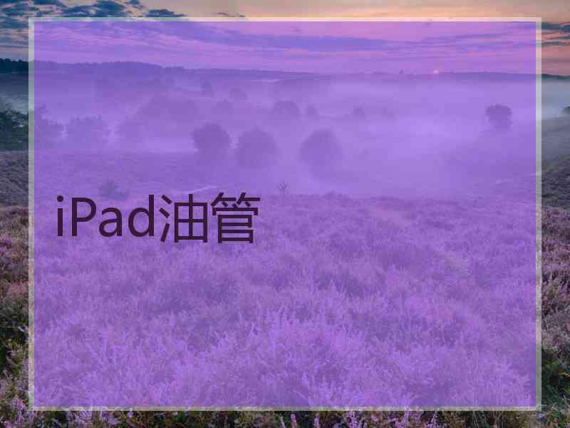 iPad油管