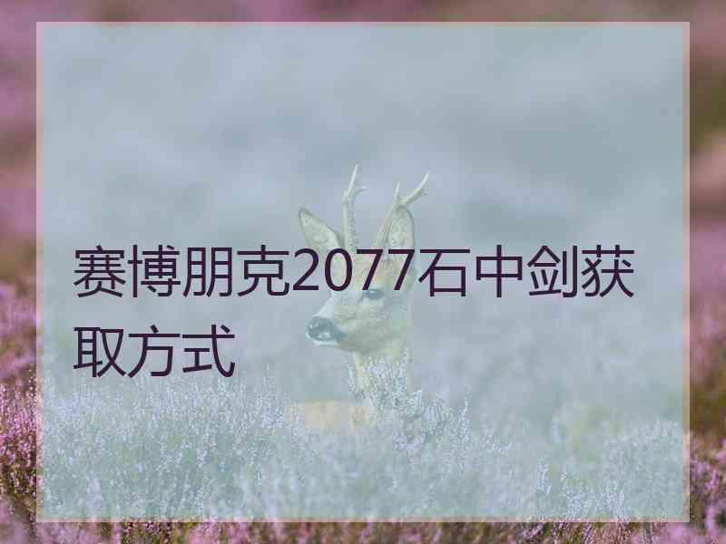 赛博朋克2077石中剑获取方式