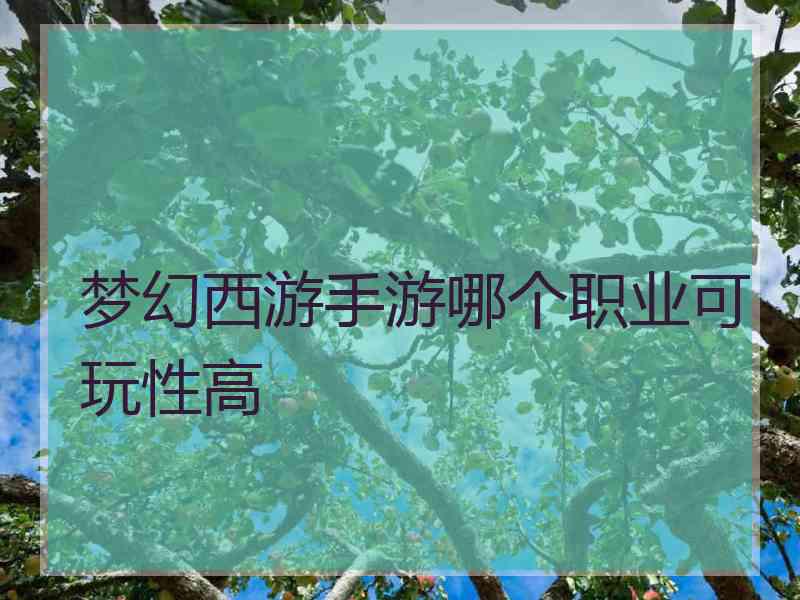 梦幻西游手游哪个职业可玩性高