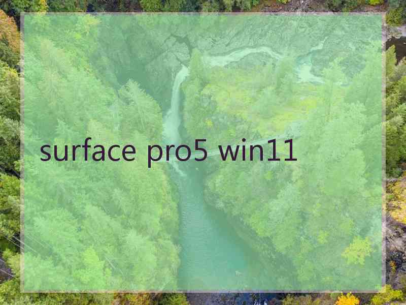 surface pro5 win11