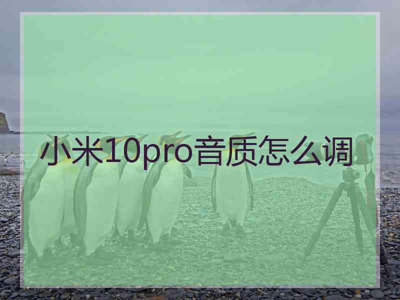 小米10pro音质怎么调