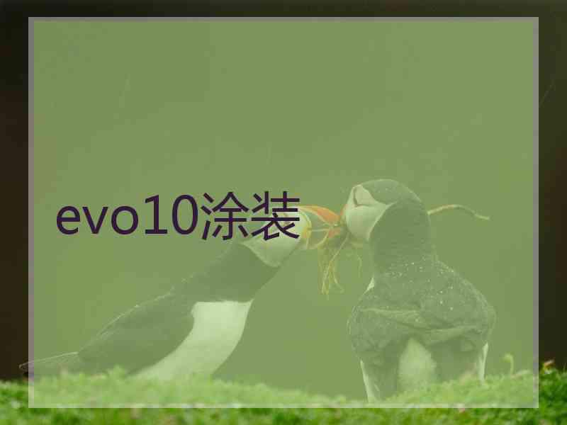 evo10涂装