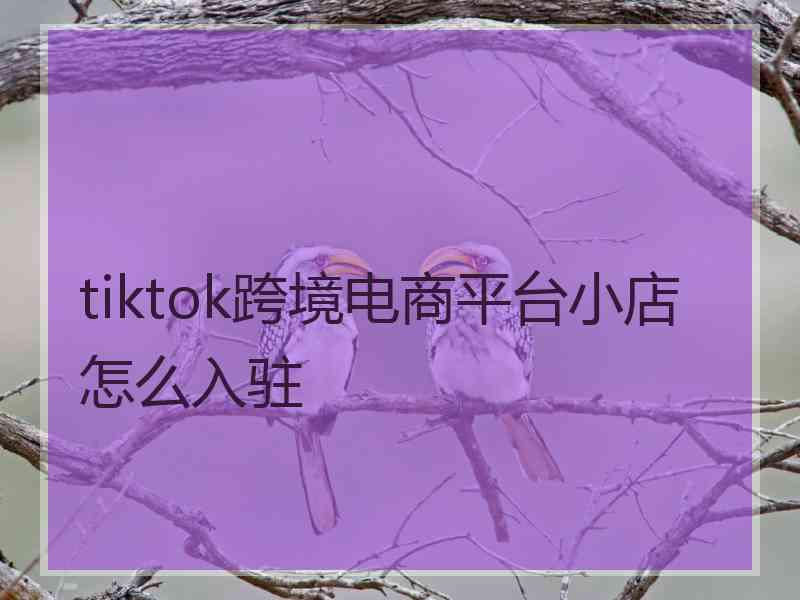 tiktok跨境电商平台小店怎么入驻