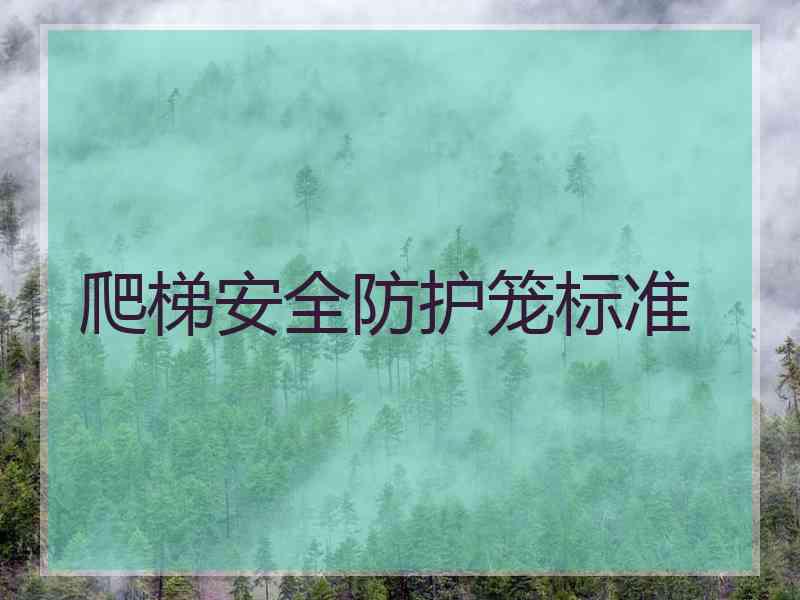 爬梯安全防护笼标准