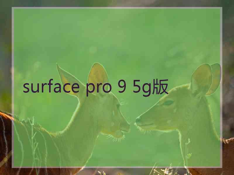 surface pro 9 5g版