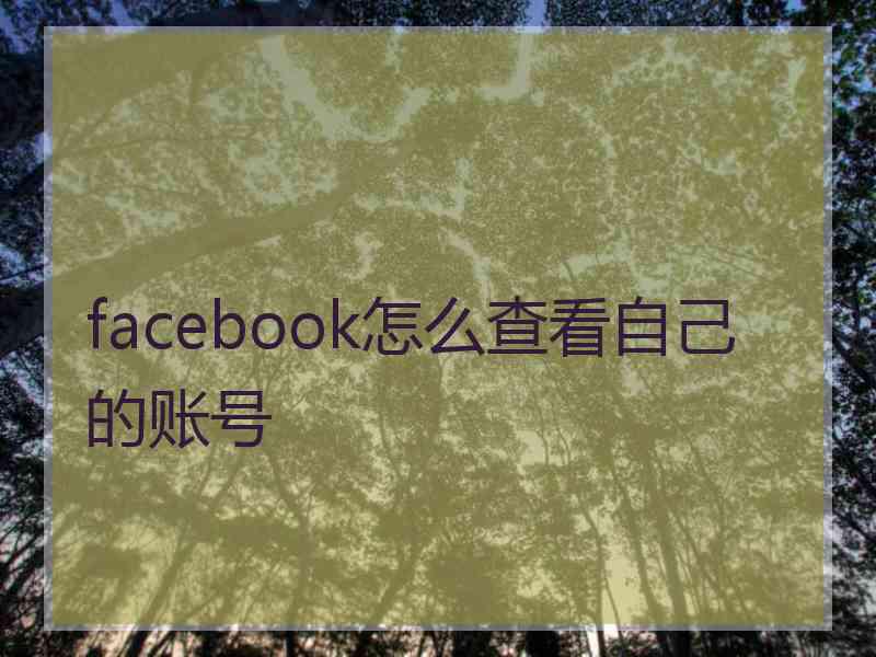 facebook怎么查看自己的账号