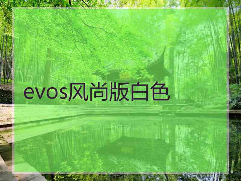 evos风尚版白色