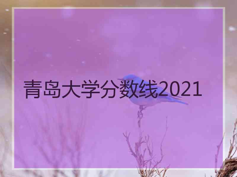 青岛大学分数线2021