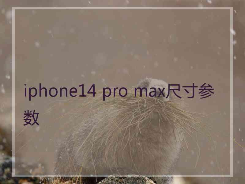 iphone14 pro max尺寸参数