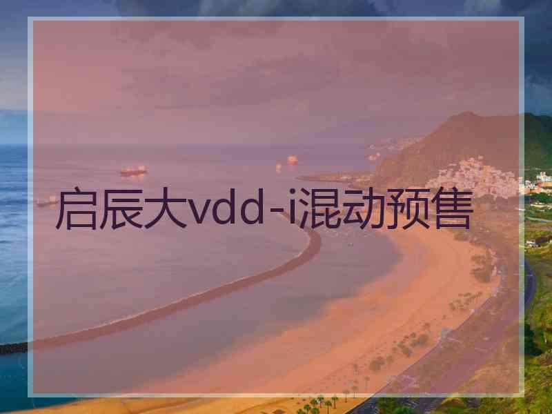 启辰大vdd-i混动预售