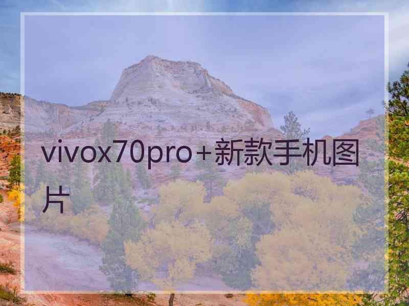 vivox70pro+新款手机图片