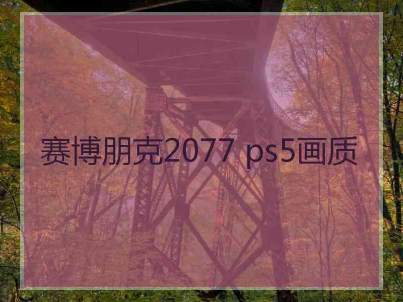 赛博朋克2077 ps5画质