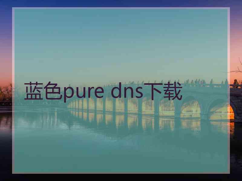 蓝色pure dns下载