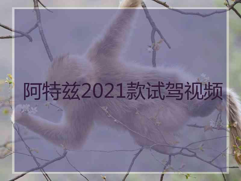 阿特兹2021款试驾视频