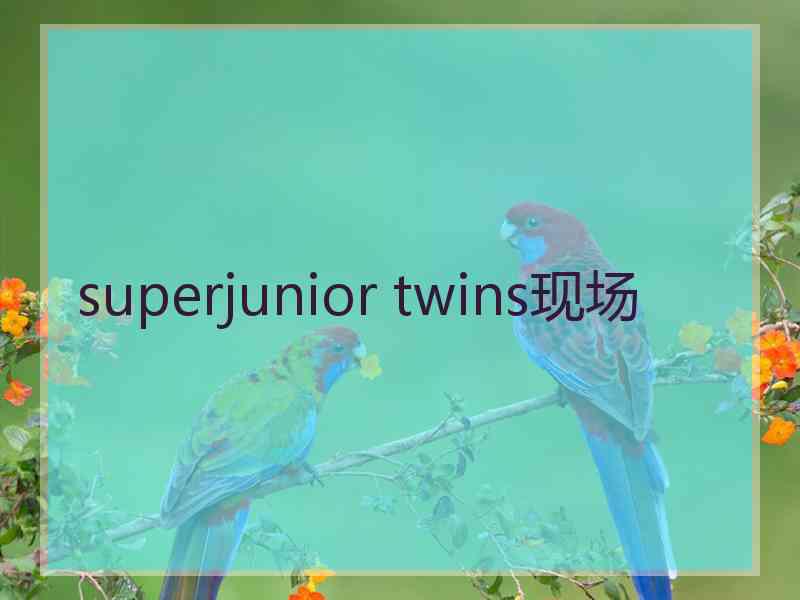 superjunior twins现场