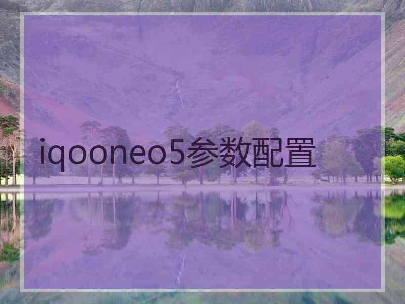 iqooneo5参数配置